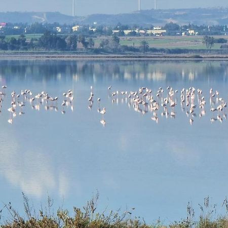 Cozy Beach Apt / 100 Mbit+ Netflix / Near Airport Larnaca Exteriör bild