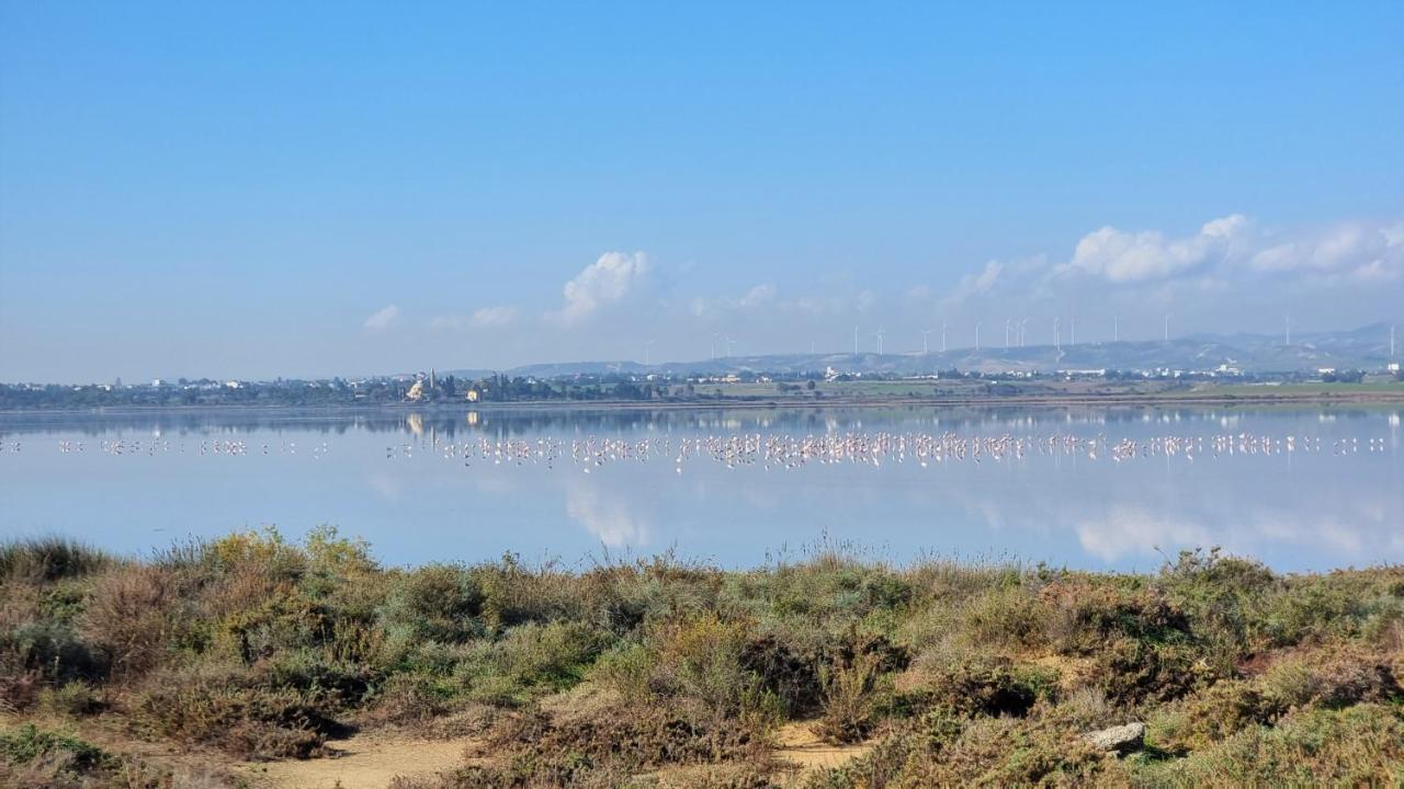 Cozy Beach Apt / 100 Mbit+ Netflix / Near Airport Larnaca Exteriör bild